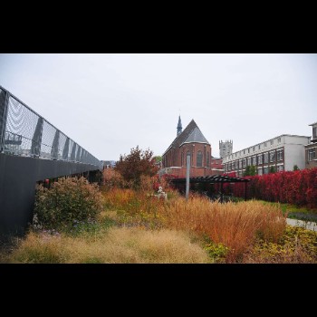 BIBLIOTHEEKTUIN - DENDERMONDE herfstbeeld (6)